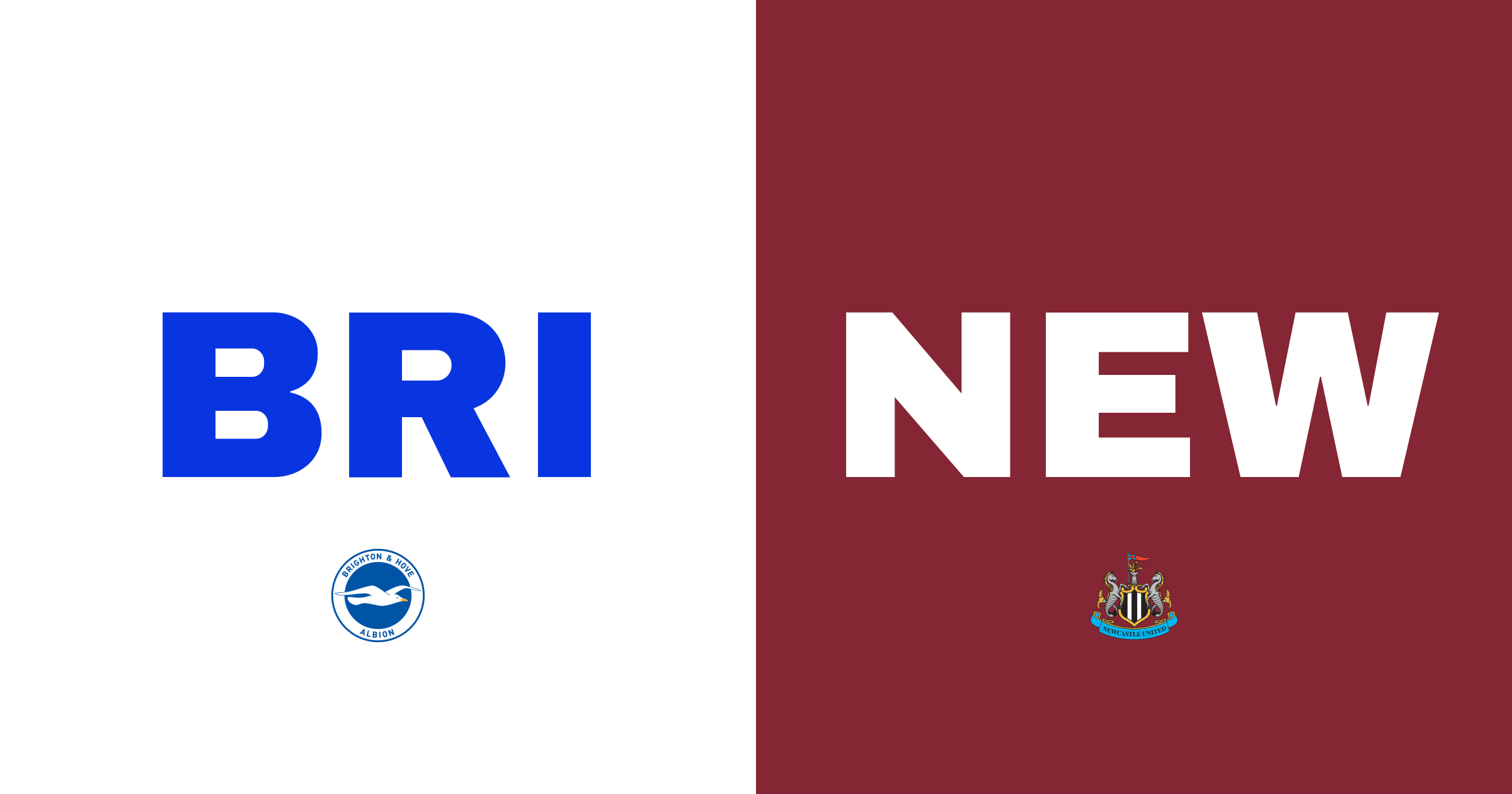 Brighton och Newcastle spelar oavgjort på The American Express Community Stadium