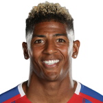 Patrick van Aanholt