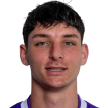 Dario Walti